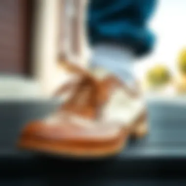 Maintenance Tips for Vintage Footwear Care tips illustrated for maintaining vintage shoes