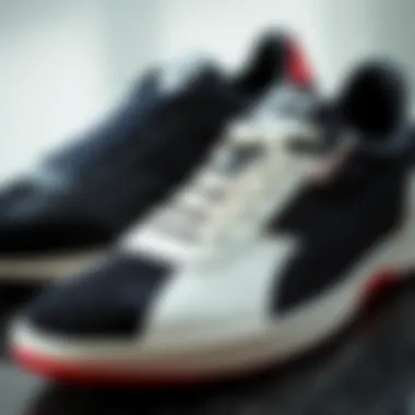 Evolution of panther sports shoes through the decades