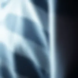 High-quality football jersey fabric close-up