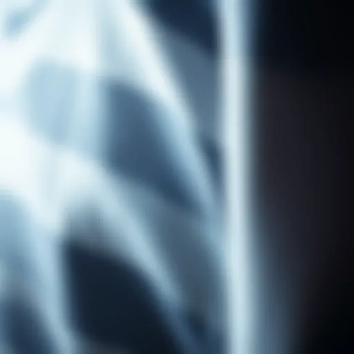 High-quality football jersey fabric close-up